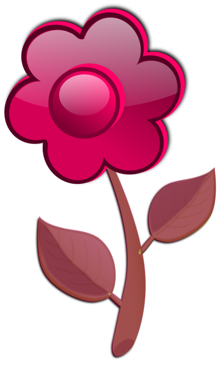 Pink,Plant,Flower