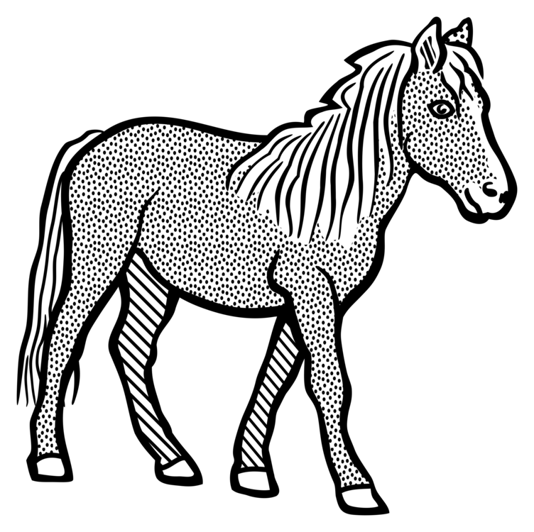 Pony,Horse Tack,Colt