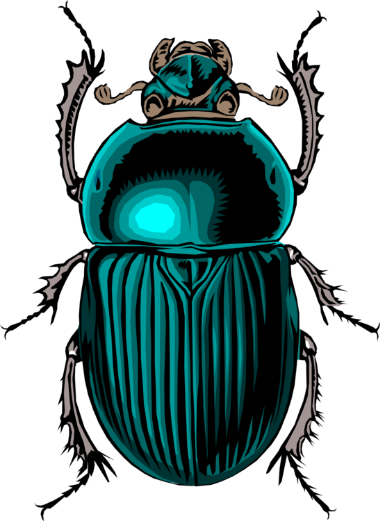 Dung Beetle,Invertebrate,Arthropod