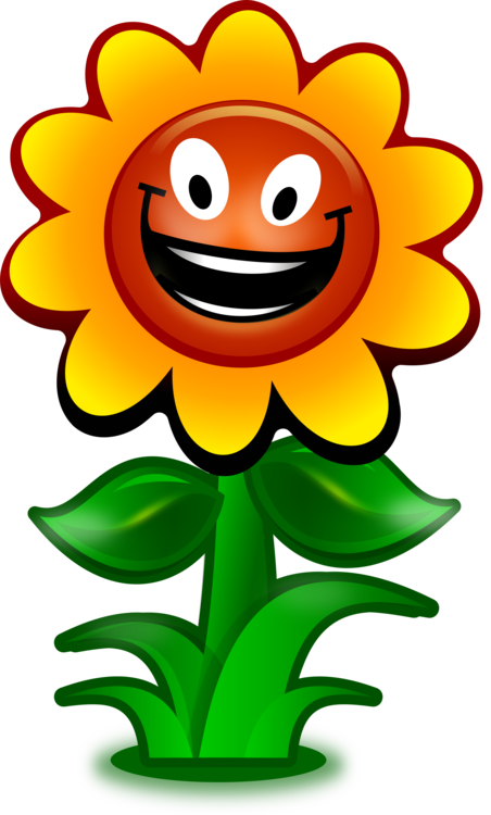 Plant,Flower,Sunflower