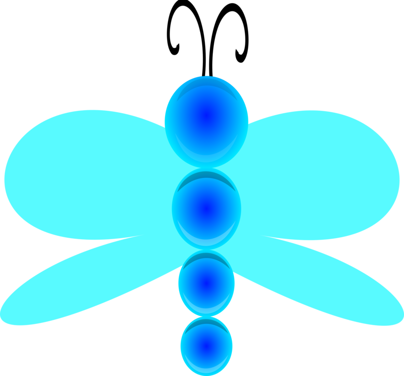 Symmetry,Wing,Pollinator