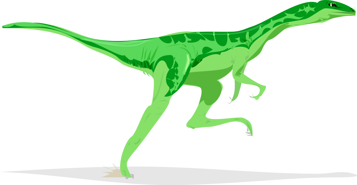 Velociraptor,Tyrannosaurus,Terrestrial Animal