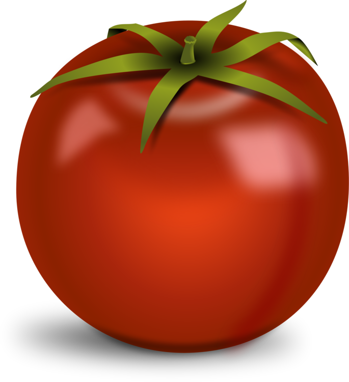 Tomato,Plant,Bush Tomato