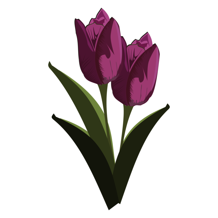 Plant,Flower,Purple