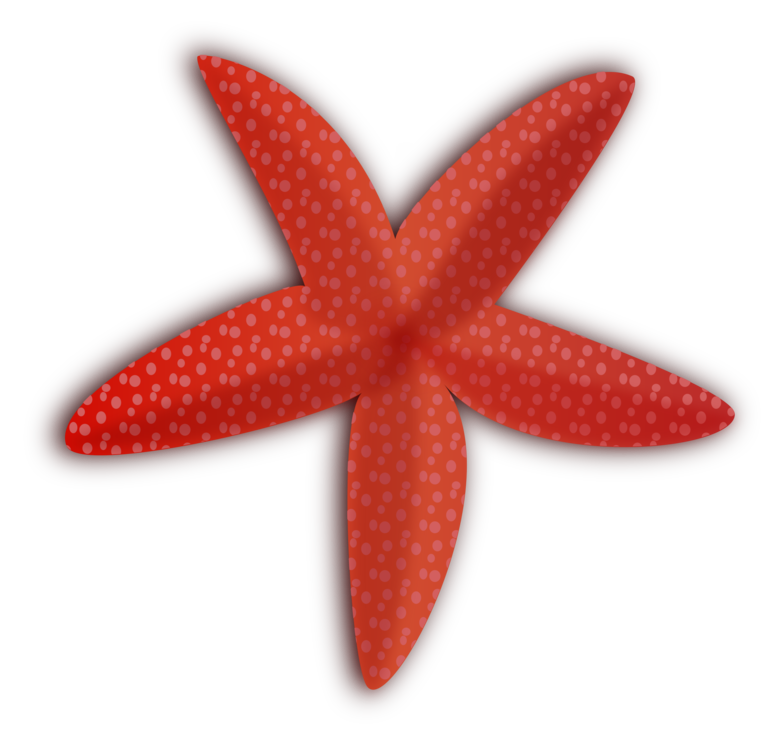 Marine Invertebrates,Echinoderm,Starfish