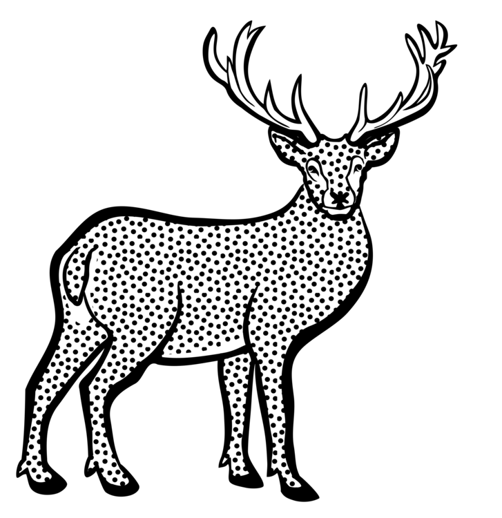 Monochrome Photography,Deer,Horn