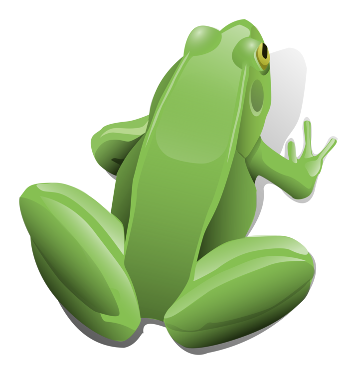Vertebrate,Frog,Amphibian