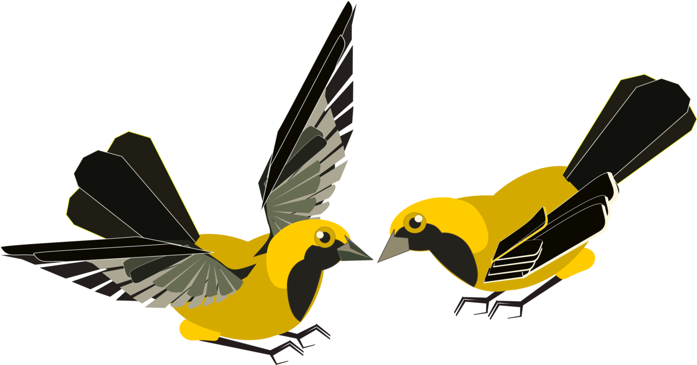 Yellow,Bird,Bird Of Prey