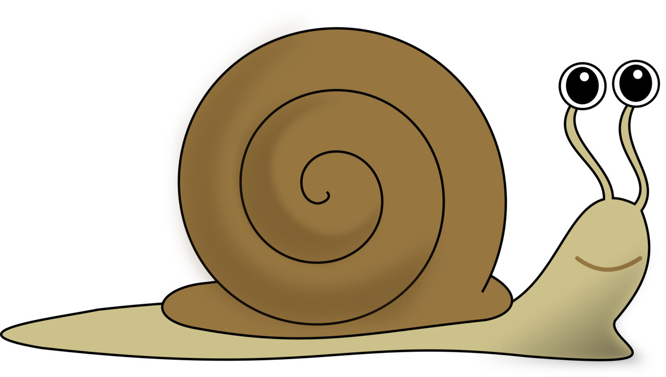 Snail,Invertebrate,Snails And Slugs
