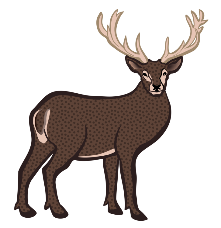 Elk,Wildlife,Vertebrate