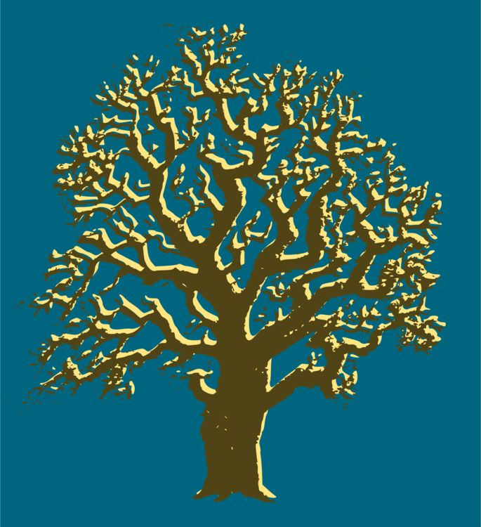 Twig,Symmetry,Tree