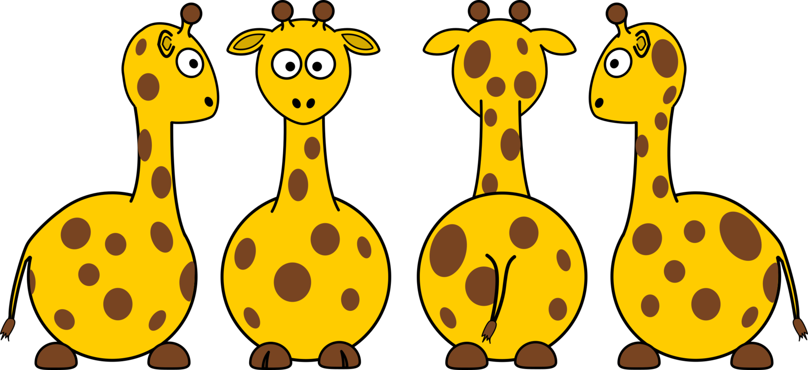 Giraffidae,Yellow,Terrestrial Animal