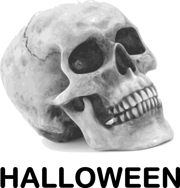 Head Skeleton Skull Png Clipart Royalty Free Svg Png