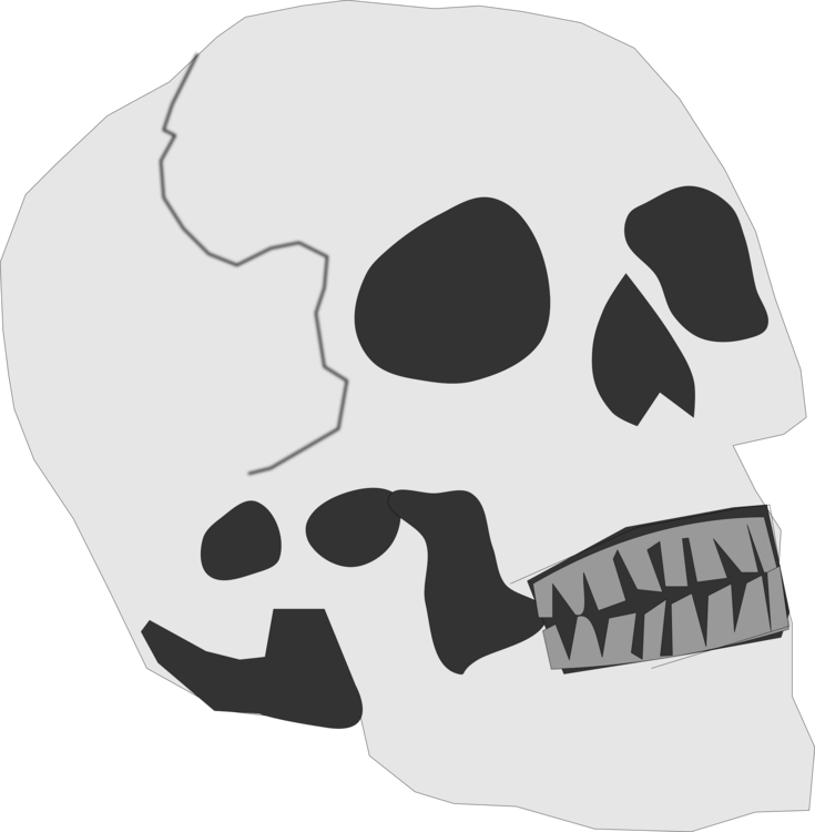 Head,Black And White,Skull