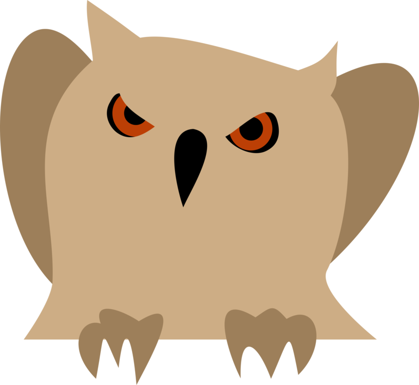 Owl,Snout,Carnivoran