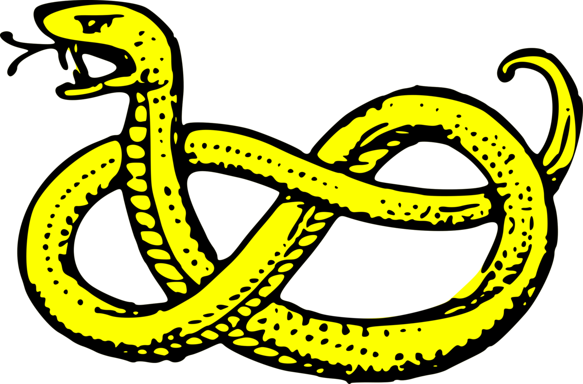 Reptile,Serpent,Area