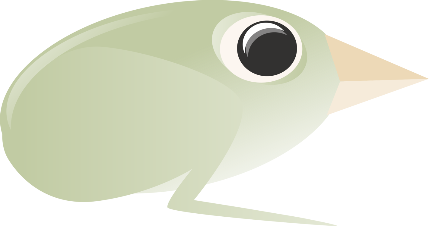 Vertebrate,Frog,Green