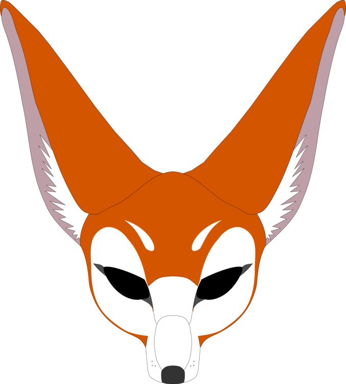 Head,Carnivoran,Fox