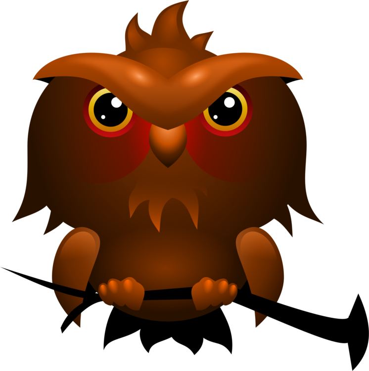 Owl,Vertebrate,Bird