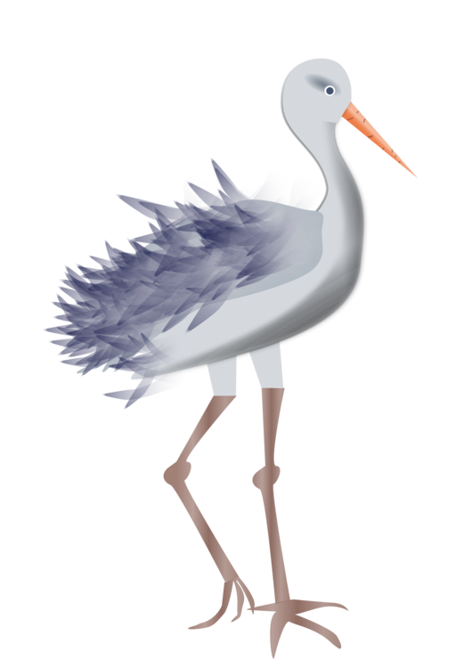 Egret,Stilt,Water Bird