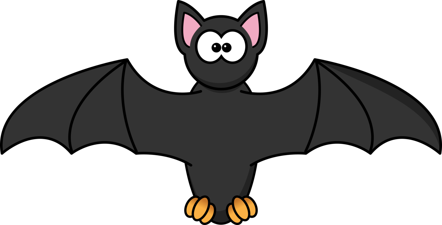 Bat,Small To Medium Sized Cats,Vertebrate