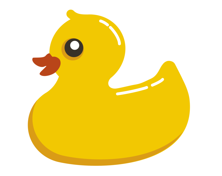 Poultry,Water Bird,Beak