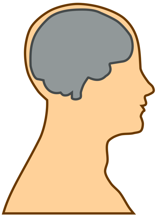 Headgear,Human,Human Behavior