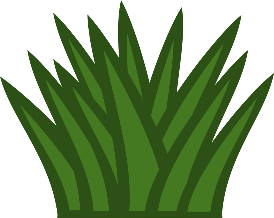 Plant,Leaf,Commodity