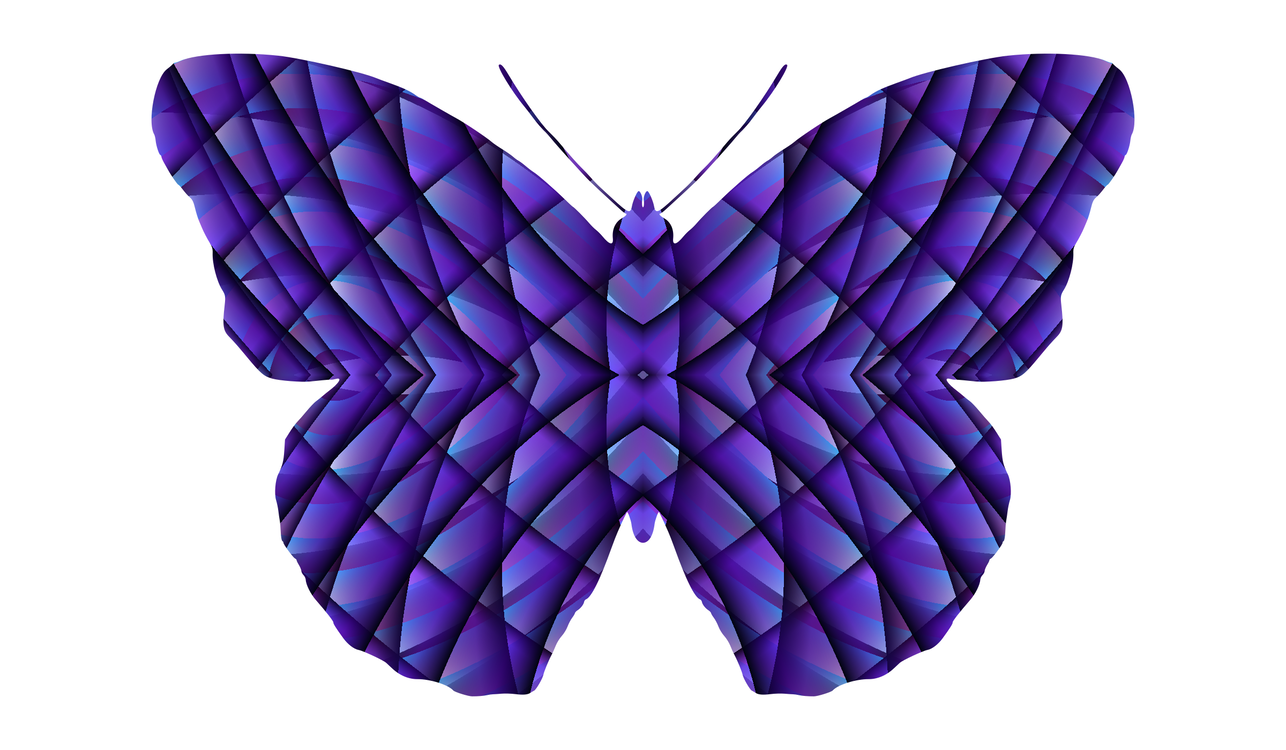Butterfly,Symmetry,Lilac