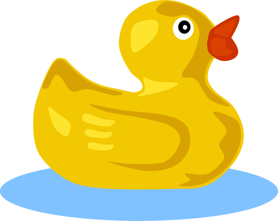 Water Bird,Wing,Duck