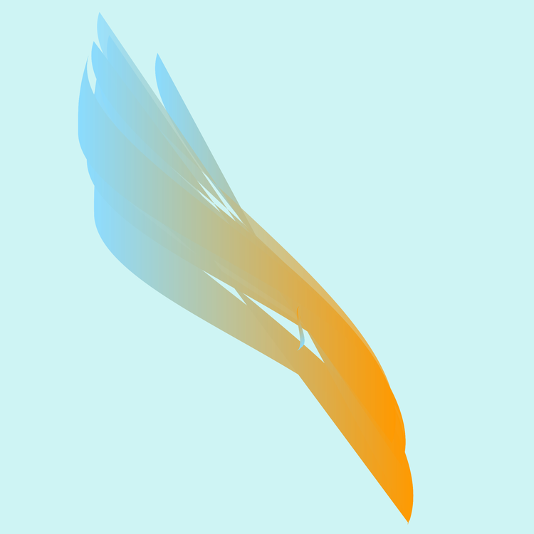 Feather,Sky,Wing