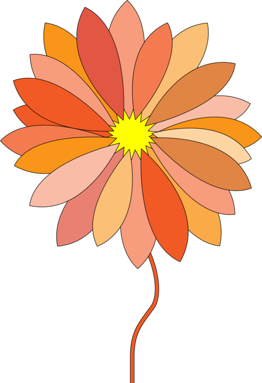 Chrysanths,Plant,Flora