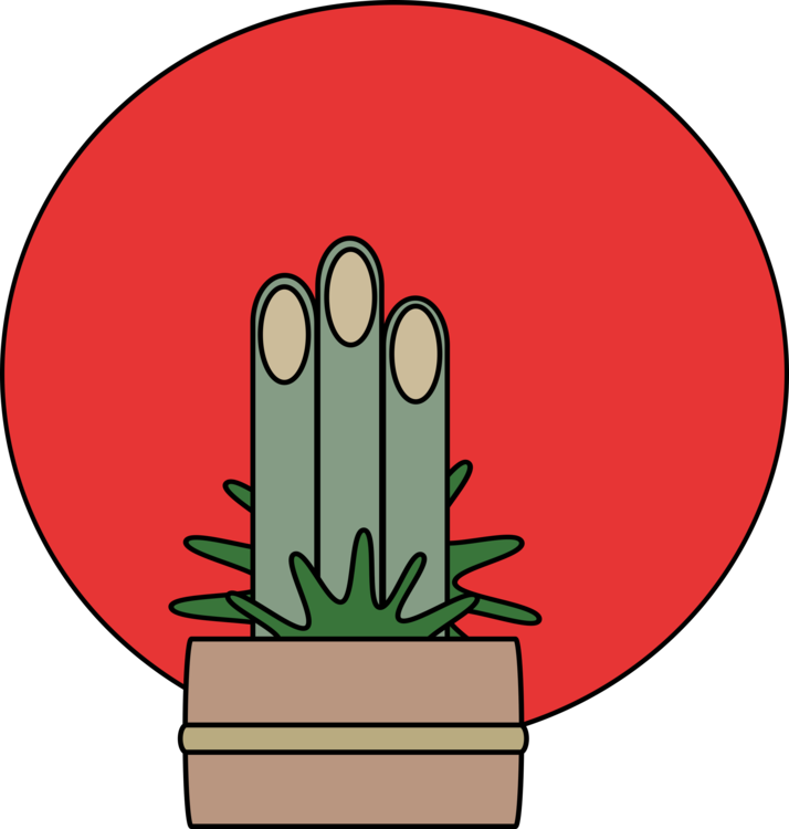 Plant,Flower,Organ