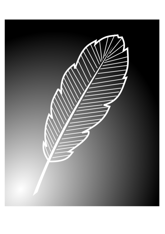 Leaf,Monochrome Photography,Monochrome