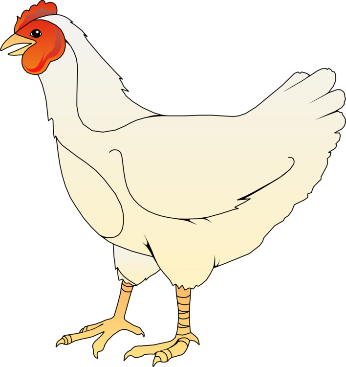 Poultry,Line Art,Livestock