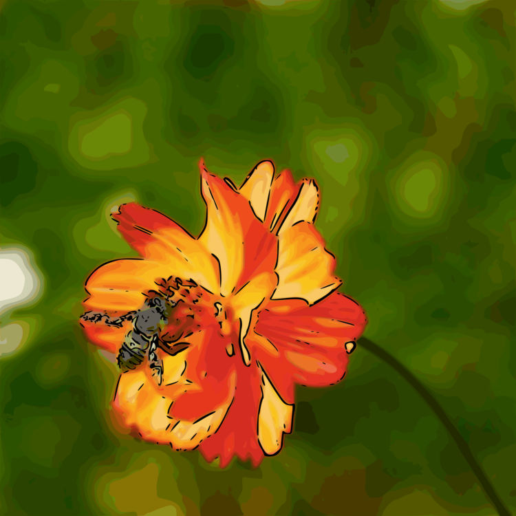 Pollen,Plant,Flora