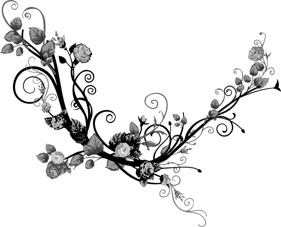 Plant,Flora,Monochrome Photography