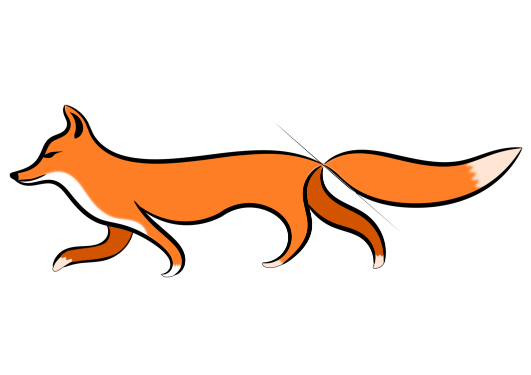 Wildlife,Carnivoran,Fox