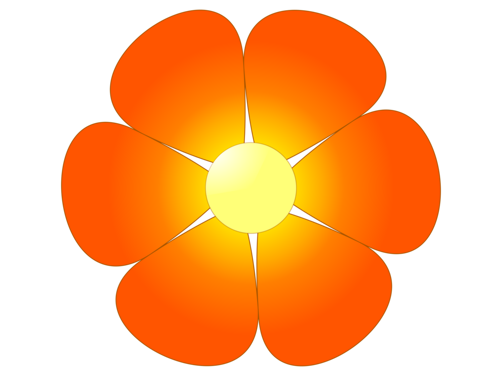 Flower,Symmetry,Petal