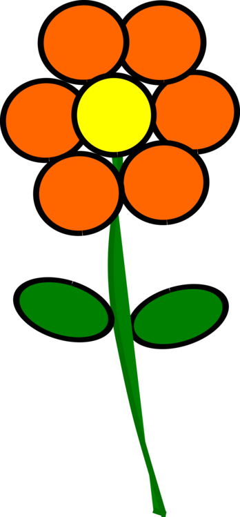 Flower,Leaf,Petal