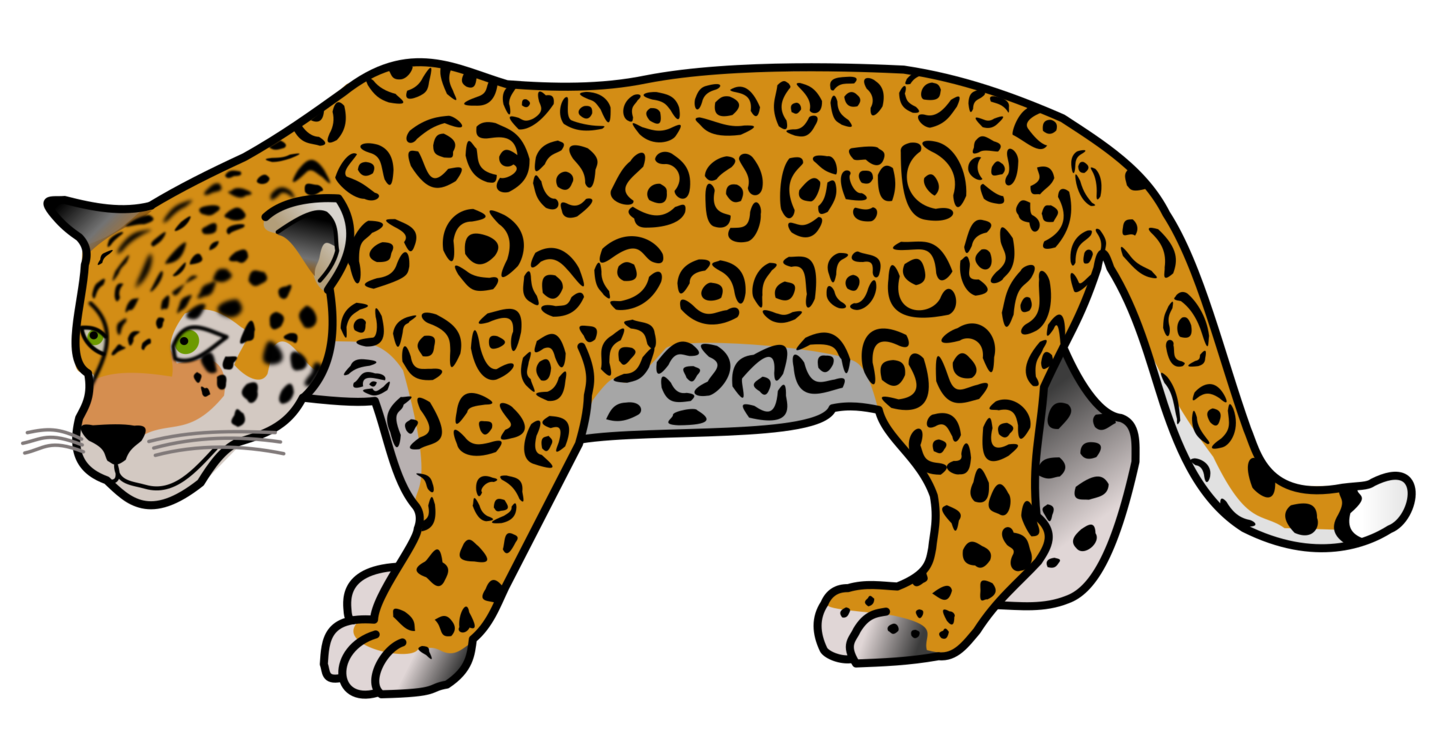 Wildlife,Puma,Jaguar