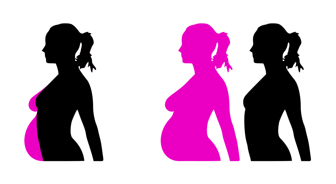 Pink,Standing,Silhouette