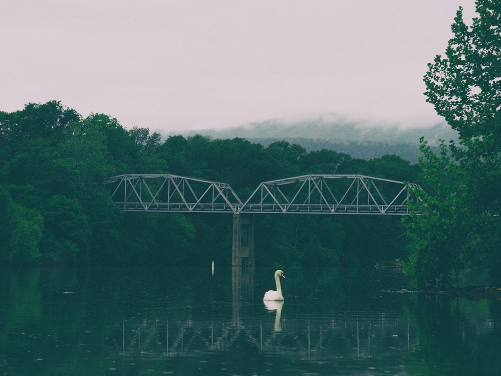Bridge,Reflection,Reservoir