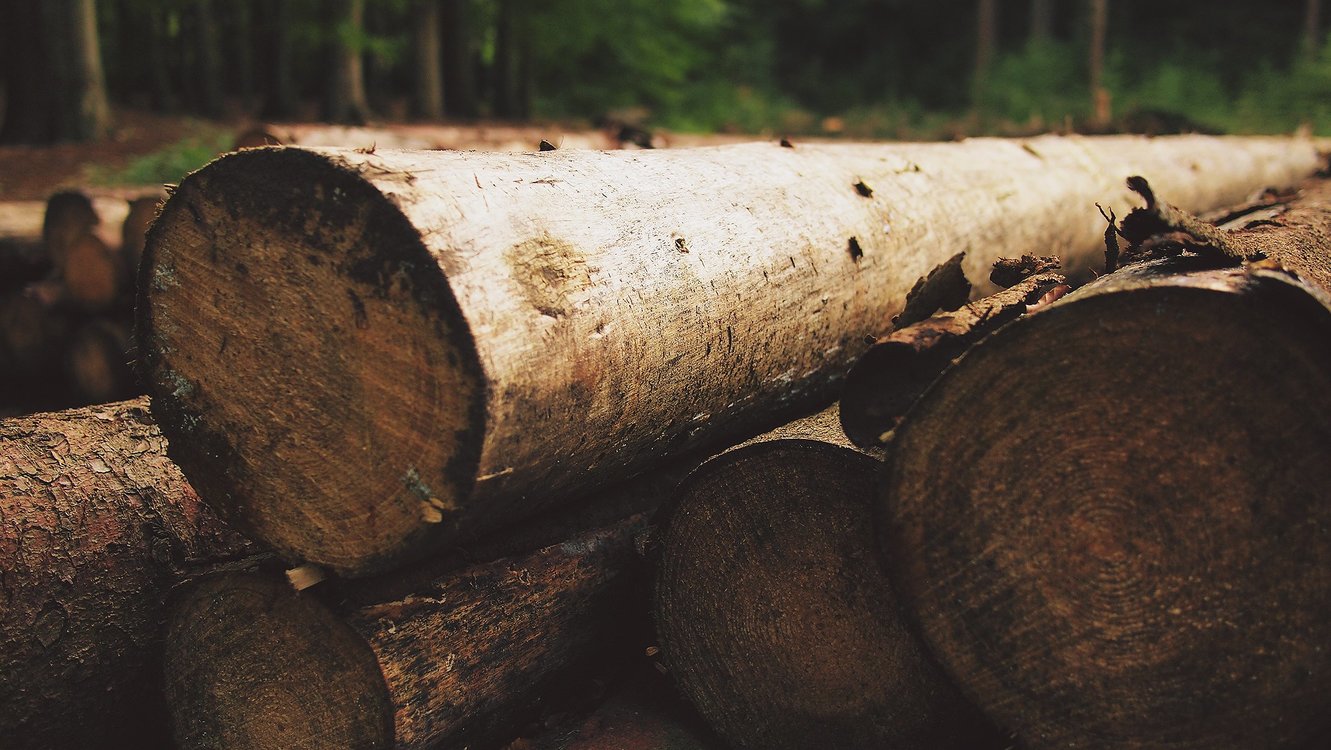 Wood,Tree,Lumber