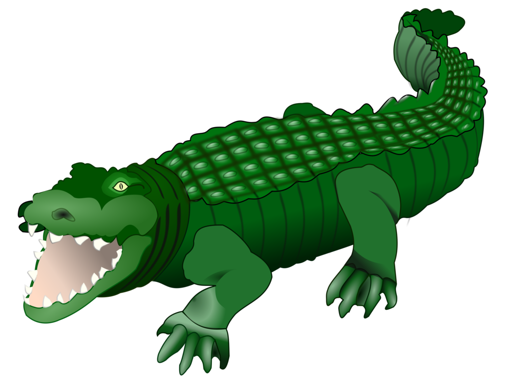 Reptile,Tyrannosaurus,Alligator