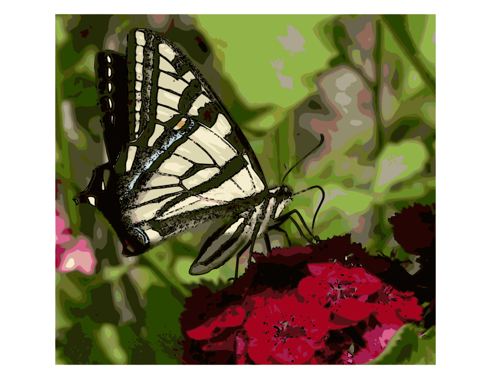 Butterfly,Flora,Nectar