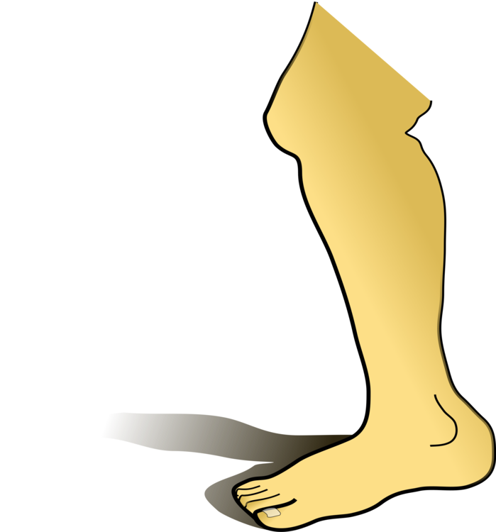 Leg,Yellow,Joint