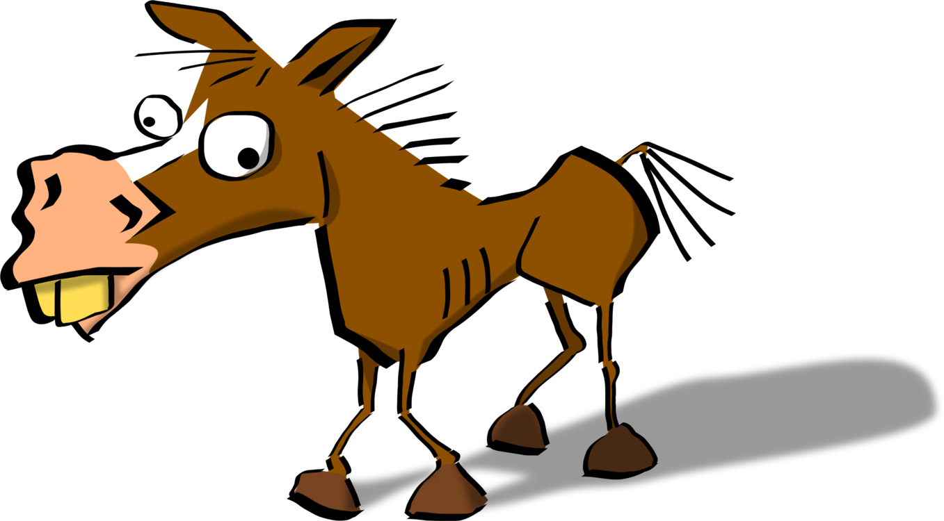 Foal,Horse,Colt