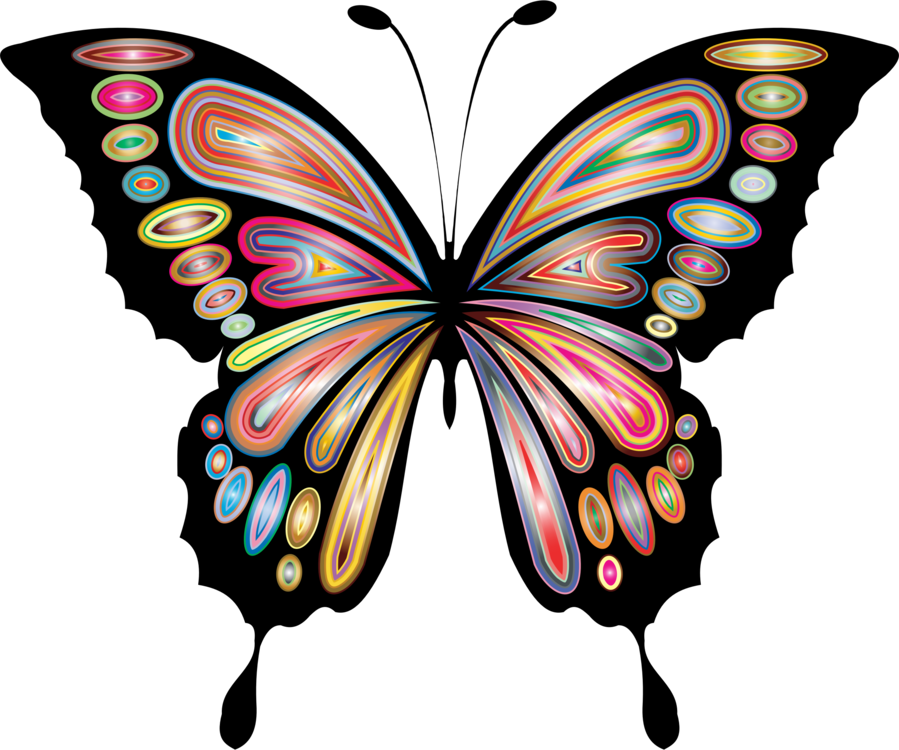Butterfly,Symmetry,Artwork