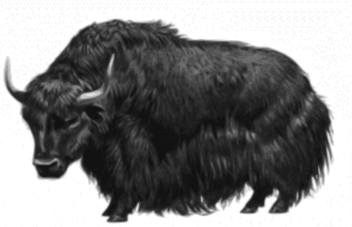Bull,Fur,Livestock